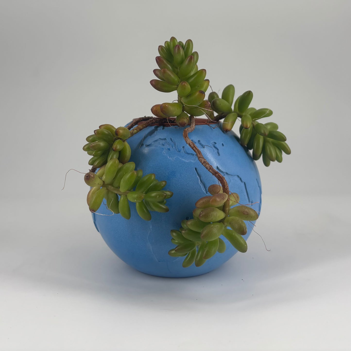 Globo in ceramica artigianale Popikò, finitura opaca azzurra, design minimalista Made in Italy fatto a mano con pianta.